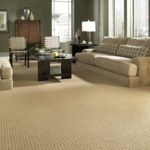 Living room Carpet | Carpetland USA