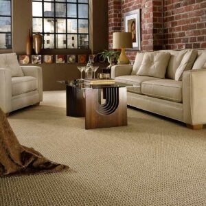 Living room Carpet flooring | Carpetland USA