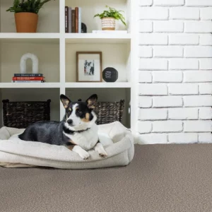 Flooring | Carpetland USA